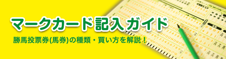 マイカード記入ガイド