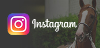 インスタグラム