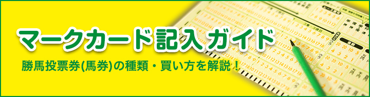 マークカード記入ガイド