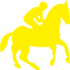 レース情報