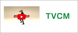 TVCM